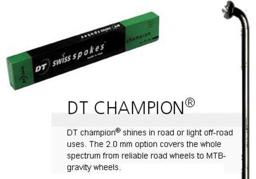 SPOKES - DT Champion Spoke - 256mm, BLACK (Sold Individually) - 14G (2.0mm), J Hook, Stainless Steel