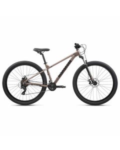 SWITCHBACK COMP BNZ LG