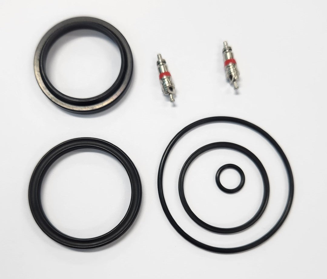 Rear shock - EDGE PLUS AIR SEAL KIT