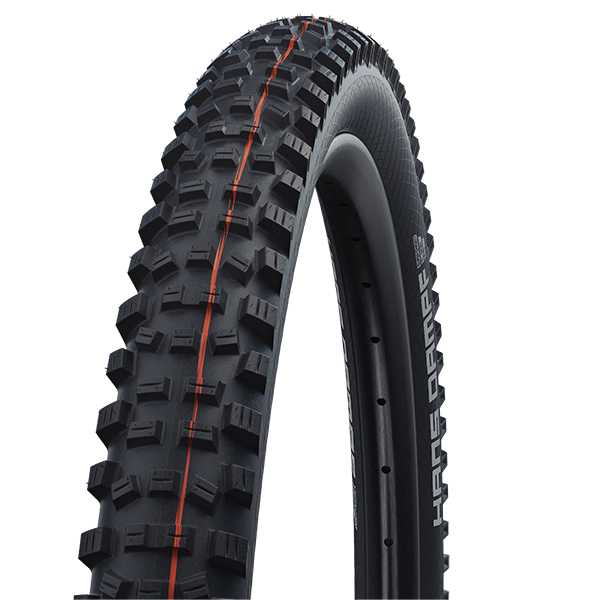 Schwalbe Hans Dampf Super Gravity Addix Soft Evolution Line TL Easy »