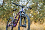 Trail D 20 Gloss Purple / Black