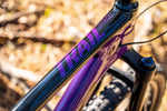 Trail D 20 Gloss Purple / Black