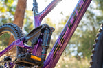 Trail D 20 Gloss Purple / Black