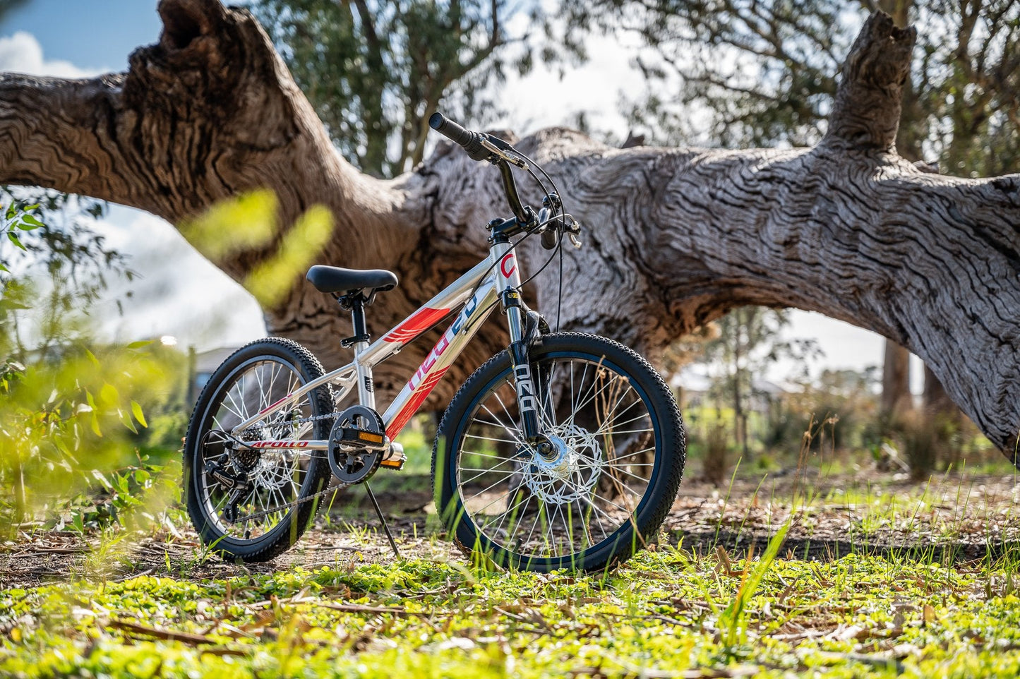 Neo Disc+ 20 6s Boys Brushed Alloy / Red / Black