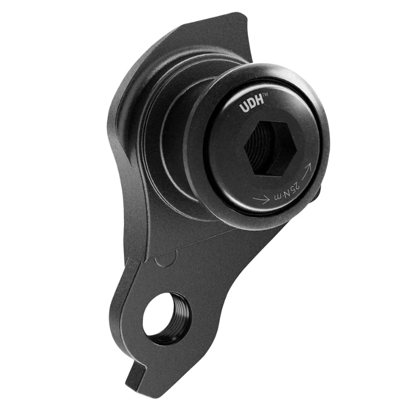 Rear Derailleur Hanger ALLOY/PLASTIC as per Sram OEM - for UDH, M12 x P1.0, matt black, w/screw & washer
