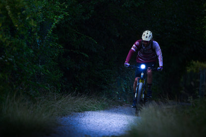 FRONT LIGHT FOR E-BIKE - 1000 Lumens, 14 Watt, 12-36V, high beam function w/300mm switch cable, w/HB12 stem mount w/1200mm cable, fork mounting option, black