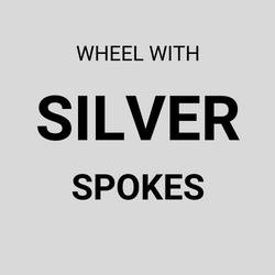 WHEEL - 26" JETSET S/W Alloy Rim, STEEL Screw On MultiSpeed Steel Nutted Hub, Mach 1 Spokes, REAR.  SILVER with BLACK Hub.   (Matching Front 94049)