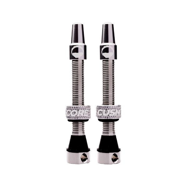 CushCore Tubeless Valves (pair) Silver - 55mm