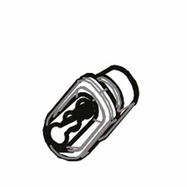 Cannondale Cargowagen Neo Chain Guide