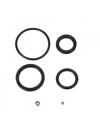 Raidon OIL DAMPER seal kit, Mod.RBA499-01