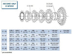 9 SPEED SPROCKET 13T
