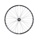 BL309 DH EXPERT FRONT 29″  WHEEL 32H 110
