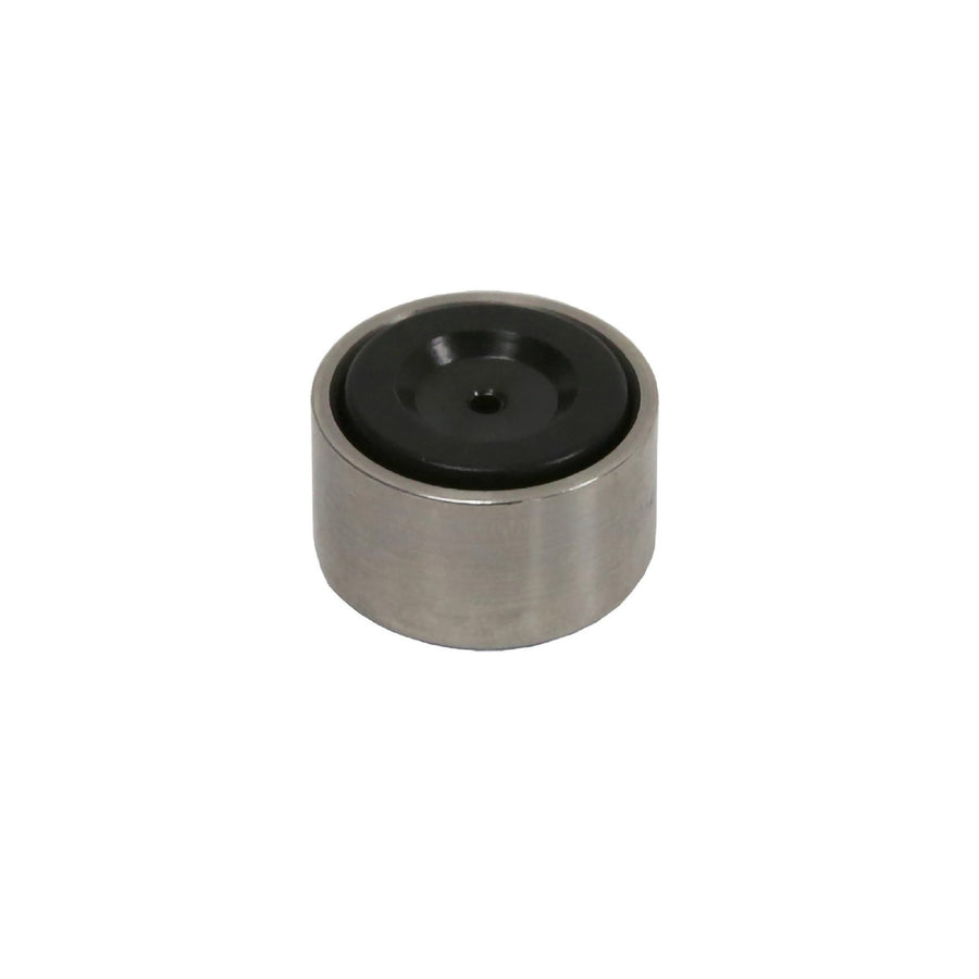 17MM STAINLESS PISTON AND INSERT