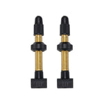 BTI-159 TUBELESS VALVES 48MM REMOVABLE CO 2 PIECES