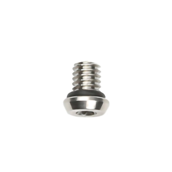 TECH 4 EVO BLEED PORT SCREW