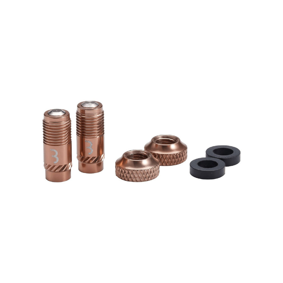 VALVE CAPS CORECAP 2PC/PR COPPER