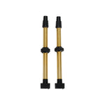 BTI-159 TUBELESS VALVES 48MM REMOVABLE CO 2 PIECES