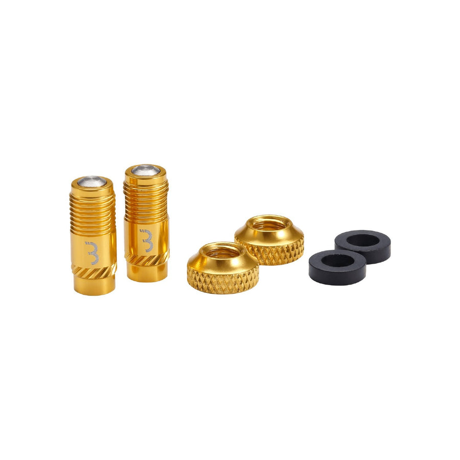 VALVE CAPS CORECAP 2PC/PR GOLD