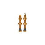 HOPE TUBELESS VALVE – PAIR