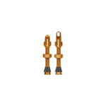HOPE TUBELESS VALVE – PAIR