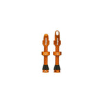 HOPE TUBELESS VALVE – PAIR
