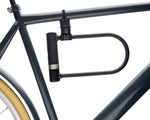 AXA NEWTON U-LOCK 230 x 14, KEYED