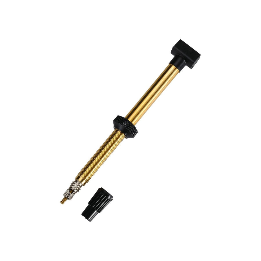 BTI-159 TUBELESS VALVES 48MM REMOVABLE CO 2 PIECES