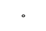 O RING SEAL – CALIPER