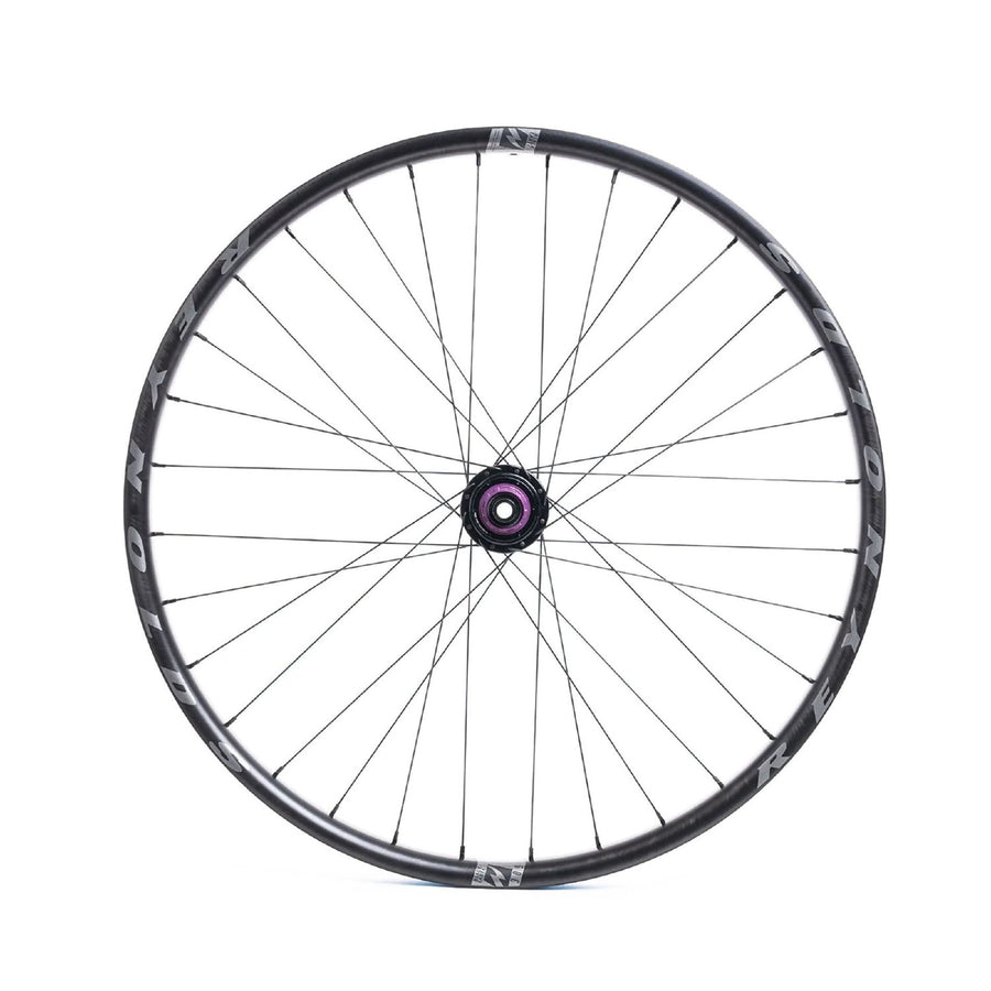 BL309 DH EXPERT FRONT 29″  WHEEL 32H 110